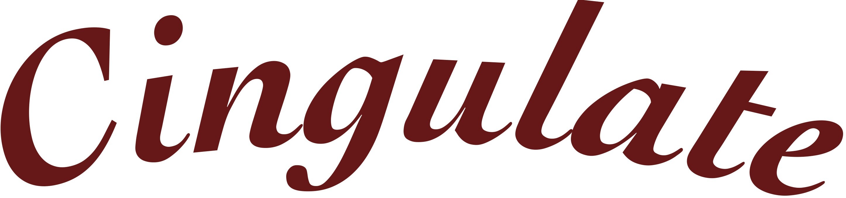 cingulate_logo_ロゴ